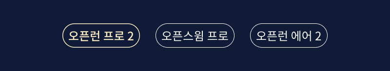 더 보기